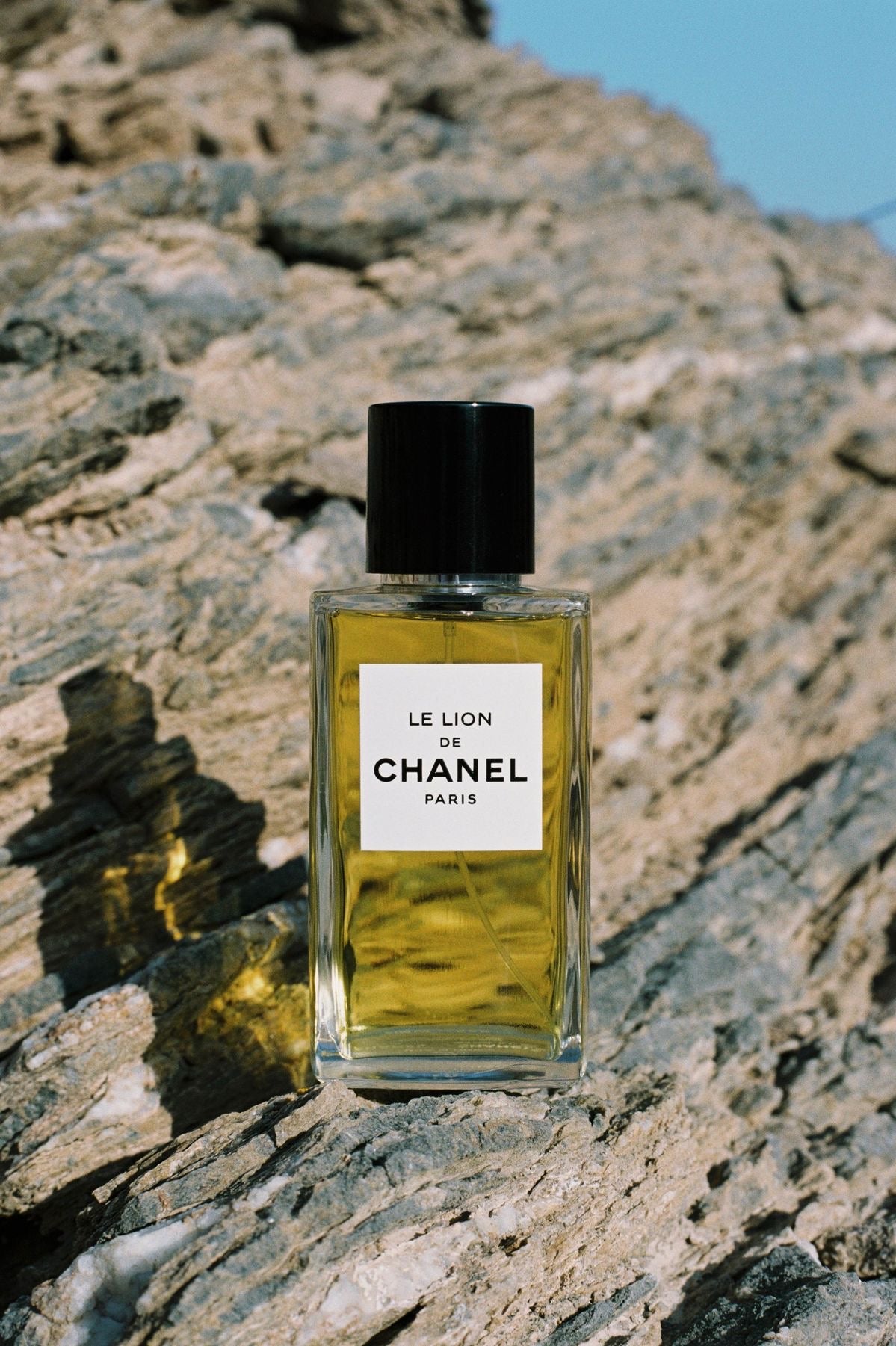 Le Lion de Chanel – Eau de Parfum Mixte (75 ml)